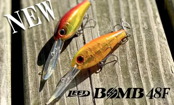 シャッドとクランクの中間的な ミッドコントロールルアー 『LEED BOMB 48F』 誕生