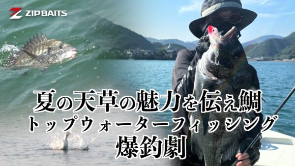【YouTube動画アップ：夏の天草の魅力を伝え鯛　トップウォーターフィッシング爆釣劇】
