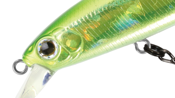 RiggeFLAT 50S