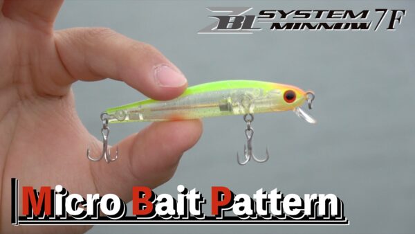 【YouTube動画アップ：これからハイシーズン‼ 春の浜名湖でマイクロベイトパターンを攻略】