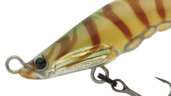 ZBL Zoea 49S