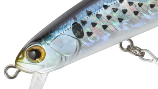 ZBL SYSTEMMINNOW 15F