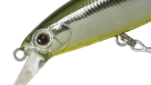 RiggeFLAT 50S LightSalt