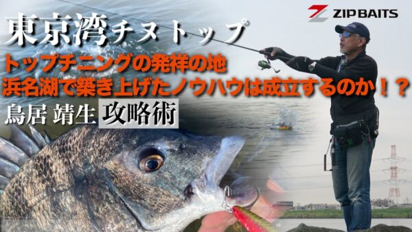 【YouTube動画アップ： 東京湾オカッパリでトップチヌゲーム これを見れば釣れること間違いなし】