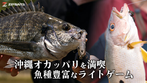 【YouTube動画アップ：沖縄ライトゲーム】