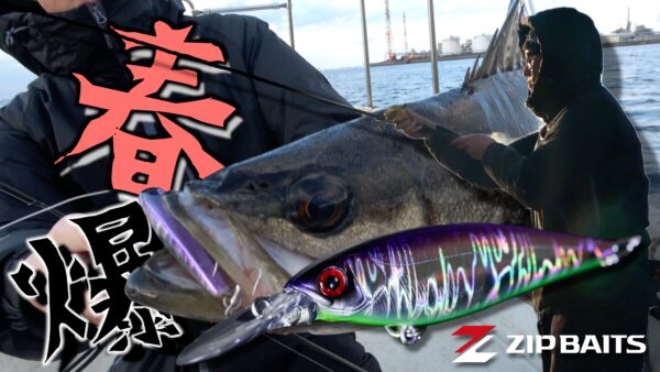 【YouTube動画アップ：ザブラシャッドカイラ新色で東京湾シーバス爆釣‼】
