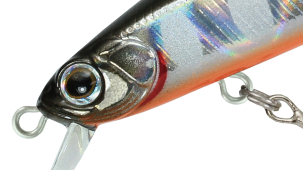 Rigge 56F/S