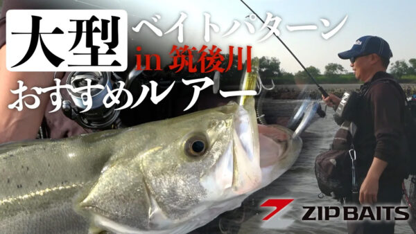 【YouTube動画アップ：大型ベイトパターンおすすめルアーin筑後川】