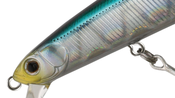 ZBL SYSTEMMINNOW 123S Abile