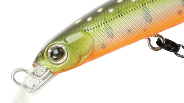 RiggeSlim 60SS