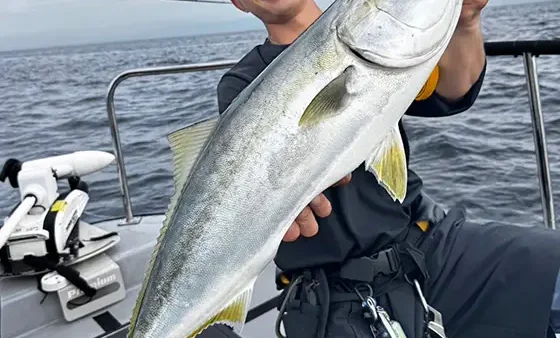 大阪湾インショアジャーキング！